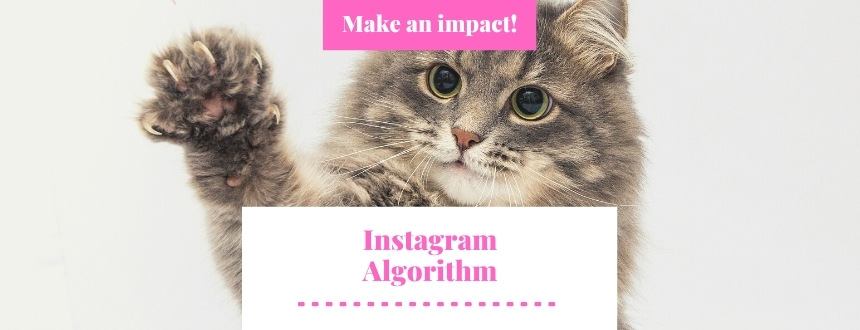 The Instagram Algorithm 2022: How to Get Your Post Seen