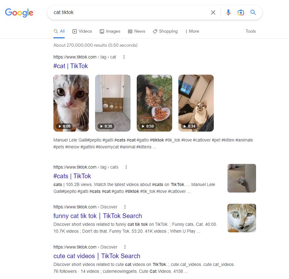 Google TikTok搜索结果